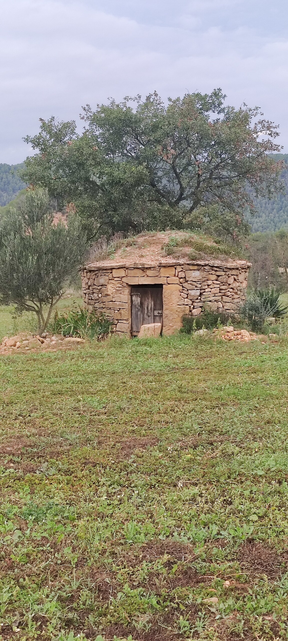 Barraca Torre del Breny 2